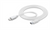 CELLULARLINE - USBDATAC2LMFI1MW - 2190004894 CELLULARLINE 1 | Trony.it