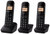 PANASONIC - KX-TGB613JTB                        - 2200004954 PANASONIC 0 | Trony.it