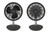 ARGO - ARGO ORFEO TITANIUM - 2200004934 ARGO 1 | Trony.it