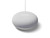 GOOGLE - Nest Mini ROCK CANDY - 2190014137 GOOGLE 0 | Trony.it