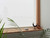 GOOGLE - Nest Mini ROCK CANDY - 2190014137 GOOGLE 5 | Trony.it