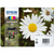 EPSON - C13T18064020 - 1902136784 EPSON 0 | Trony.it