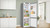 BOSCH - KGN492LDF - 2220008215 BOSCH 11 | Trony.it