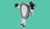 CELLULARLINE - PLCHGRAVITYK - 2210006304 CELLULARLINE 0 | Trony.it