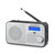 NEW MAJESTIC - RT 194 DAB - 2200001097 NEW MAJESTIC 2 | Trony.it