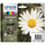EPSON - C13T18064022 - 2160013451 EPSON 0 | trony.live