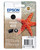EPSON - 603 STELLA MARINA T03U STANDARD SINGLE NERO - 2190010106 EPSON 0 | Trony.it