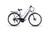 EMG - QUEEN CITYBIKE 28" - 2220004287 EMG 0 | Trony.it
