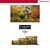 THOMSON - 50QG6C14 - 2240009063 THOMSON 20 | Trony.it