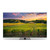 THOMSON - 50QG5C14 - 2240009059 THOMSON 1 | Trony.it
