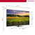 THOMSON - 50QG5C14 - 2240009059 THOMSON 3 | Trony.it