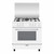 GLEM GAS - A855GX - 2150010668 GLEM GAS 0 | Trony.it