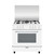 GLEM GAS - A855GX - 2150010668 GLEM GAS 10 | trony.live