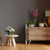MACOM - Slimmy - 2230011560 MACOM 13 | Trony.it