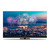 THOMSON - 55QG6C14 - 2240009064 THOMSON 1 | Trony.it
