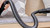 BOSCH - BCS711PET - 2230018776 BOSCH 15 | Trony.it