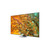 SAMSUNG - QE65Q80DATXZT - 2240008422 SAMSUNG 2 | Trony.it