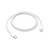 APPLE - CAVO USB-C TO USB-C 1MT - 2240019770 APPLE - CAVO USB-C TO USB-C 1MT - 2240019770 APPLE 0 | Trony.it
