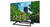 SMART TECH - 24HN01V3CA - 2240018875 SMART TECH 2 | Trony.it