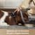 DREAME - DREAME Z30 STICK VACUUM CLEANER - 2240016129 DREAME 4 | Trony.it