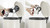 BOSCH - BCS611P4A - 242000492 BOSCH 5 | Trony.it