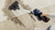 BOSCH - BCS611P4A - 242000492 BOSCH 9 | Trony.it