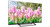 SMART TECH - 40FN01V3 - 2250000643 SMART TECH 1 | Trony.it