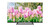SMART TECH - 40FN01V3 - 2250000643 SMART TECH 0 | Trony.it