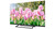 SMART TECH - 40FN01V3 - 2250000643 SMART TECH 2 | Trony.it