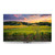 THOMSON - 75QG5C14 - 2240018149 THOMSON 1 | Trony.it