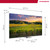 THOMSON - 75QG5C14 - 2240018149 THOMSON 3 | Trony.it