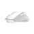 TRUST - NITO SILENT WIRELESS MOUSE - WHITE - 2240021274 TRUST 1 | Trony.it