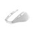 TRUST - NITO SILENT WIRELESS MOUSE - WHITE - 2240021274 TRUST 5 | Trony.it