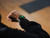 AMAZFIT - BIP 6 - 2250003310 AMAZFIT 3 | Trony.it