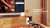 HISENSE - HS3100 - 2240017220 HISENSE 14 | Trony.it