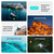DJI - MINI 4 PRO FLY MORE COMBO CON RC 2 - 2230017088 DJI 4 | Trony.it