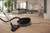 MIELE - GUARD M1 CAT&DOG FLEX - 2250002345 MIELE 5 | Trony.it