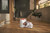 Miele Italia Spa - HYCLEAN PURE CO - 2250002730 Miele Italia Spa 3 | Trony.it