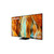 SAMSUNG - QE85QN70FAUXZT - 2250006275 SAMSUNG 2 | Trony.it