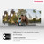 THOMSON - 50UG4S14 - 2240018021 THOMSON 14 | Trony.it