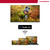 THOMSON - 50UG4S14 - 2240018021 THOMSON 17 | Trony.it