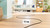 BOSCH - BGB41PET1 SERIES 4, VACUUM CLEANER WITH BAG - 2250008339 BOSCH 8 | Trony.it