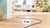 BOSCH - SERIE 4, ASPIRAPOLVERE CON SACCO - 2250007667 BOSCH 7 | trony.live