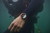 AMAZFIT - AMAZFIT BALANCE 2 - 2250008346 AMAZFIT 22 | Trony.it