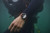 AMAZFIT - AMAZFIT BALANCE 2 - 2250008346 AMAZFIT 22 | trony.live