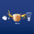 CAFFE' BORBONE - COMPATIBILI DOLCE GUSTO - SUPERGINSENG - 16 CAPS - 2250008246 CAFFE' BORBONE 3 | Trony.it