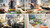 BOSCH - FRULLATORE A IMMERSIONE, ERGOMASTER, SERIE 4 - 2240020699 BOSCH 11 | Trony.it