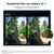 SAMSUNG - Galaxy Z Fold7 12+256GB Jetblack - 2250009156 SAMSUNG 5 | Trony.it