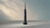 PHILIPS - HX7101/02 - 2250007404 PHILIPS 18 | trony.live