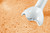BOSCH - FRULLATORE A IMMERSIONE, 280 WATT - 2240023427 BOSCH 3 | Trony.it